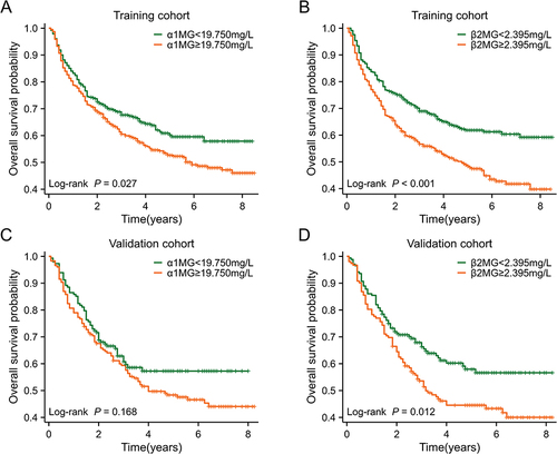 Figure 2 Kaplan-Meier curve of microglobulin. (A) Kaplan-Meier curve of α1MG in the training cohort. (B) Kaplan-Meier curve of β2MG in the training cohort. (C) Kaplan-Meier curve of α1MG in the validation cohort. (D) Kaplan-Meier curve of β2MG in the validation cohort.