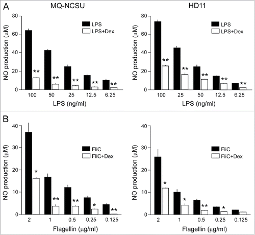 Figure 6. Effect of GC treatment on LPS or flagellin-induced production of nitric oxide in chicken macrophages. NCSU and HD11 chicken macrophages were incubated with dexamethasone (Dex, 10−6 M) for 17 h and then stimulated with the indicated concentrations of LPS (A) or flagellin (FliC) (B). After 24 h of stimulation, NO production was measured using the Griess assay. Results are the mean ± SEM of 6 (A) and 4 (B) experiments. Significant differences in ligand-induced NO production between Dex-treated and control cells are indicated: **P < 0.005; *P < 0.05.