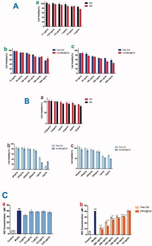 Figure 7. (A) (a) The cell viability of DPC at 48 and 24 h in Raw264.7 cells. (b, c) In vitro cytotoxicity of free Cel and DPC@Cel in RAW264.7 cells after treatment for 24 and 48 h. (B) (a) The cell viability of DPC at 48 and 24 h in RA-FLSs cells. (b, c) In vitro cytotoxicity of free Cel and DPC@Cel in RA-FLSs cells after treatment for 24 and 48 h. Data are showed as the mean ± SD (n = 3); *p < 0.05. (C) (a, b) The changes of renal cytokine responses, including NO, in RAW264.7 treated with DPC@Cel, free Cel. Data are presented as mean ± SD (n = 4), *p < 0.05; **p < 0.01.