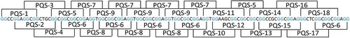 Figure 1. Distribution of G2-PQSs in 3ʹUTR of IE180 gene from PRV Ea strain. G-tracts were highlighted in blue. Each putative G-quadruplex-forming sequence contained four G-tracts.