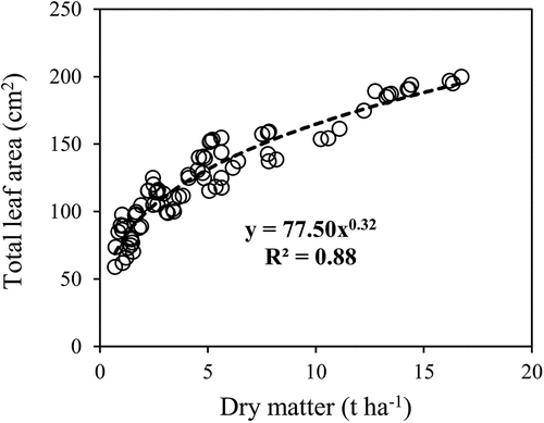 Figure 7. Allometric relationship between lettuce total dry matter and total leaf area of the first and second experiments data.