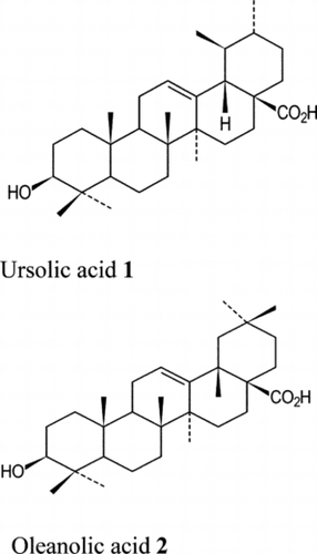 Figure 1 Structures of isolated triterpenic acid from M. lucida. leaves.