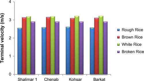 Figure 4. Terminal velocities of paddy, brown, white, and broken rice from different varieties.