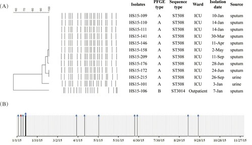 Figure 1. Twelve carbapenem-resistant Pseudomonas aeruginosa (CRPA) isolates carrying blaIMP-45 at Hospital HS in 2015. (A) PFGE of 12 blaIMP-45-bearing CRPA isolates. ST508 isolates belonged to pattern A and HS15-106 typed as pattern B. (B) Timeline of the first positive cultures of the blaIMP-45-bearing CRPA isolates for the 12 patients. The blue triangle indicates the isolation date of the blaIMP-45-carrying P. aeruginosa from ICU patients and the red indicates that of the outpatient.