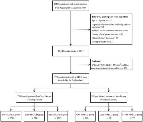 Figure 1. Study flowchart. T2DM: Type 2 diabetes mellitus; BMI: Body mass index; MAFLD: Metabolic-associated fatty liver disease.