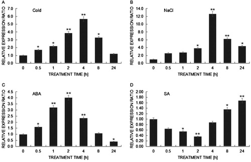 Figure 5. qRT-PCR analysis of expression patterns on BcHHP3 in Pak-choi under abiotic stress. BcHHP3 expression under cold treatment (A). BcHHP3 expression under salt treatment (B). BcHHP3 expression under ABA treatment (C). BcHHP3 expression under SA treatment (D). The transcript levels of BcHHP3 relative to those of BcACTIN were quantified using 2−ΔΔCT ; ΔΔCT = ΔCT (treated sample) − ΔCT (untreated sample), ΔCT = CTtarget − CTBcACTIN. Each column represents the average and standard deviation of three replicates. *.01 < P < .05, **P < .01, significant differences between treatments, respectively (ANOVA calculated using SPSS). Each bar value represents the Means ± SEs of the three replicates.