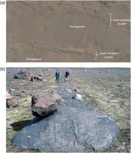 Figure 9. Flutings on the foreland of Skalafeslljökull: (a) aerial photograph extract (Loftmyndir ehf 2007), showing an arcuate zone of flutings associated with a closely spaced cluster of push moraines; (b) ground view of one of the flutings in the aerial photograph, showing striated stoss boulder.