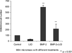 Figure 8 Lithium chloride treatment reduces chondrogenic differentiation in BMP-2-treated cultures. Micromass cultures were plated at a density of 2 × 107 cells/ml and cultured in serum-free conditions, with addition of 5 mM lithium chloride or BMP-2, 200 ng/ml; or BMP-2, 200 ng/ml, plus 5 mM lithium chloride. Cultures were fixed at 96 hours with paraformaldehyde and stained with 1% Alcian blue dye 8GX in 0.1N HCl, pH 1 for three hours to measure levels of cartilaginous extracellular matrix. Alcian blue dye was then extracted and the levels quantitated by spectrophotometer. The cultures treated with BMP-2 and lithium chloride show lower levels of cartilaginous extracellular matrix at 96 hours.