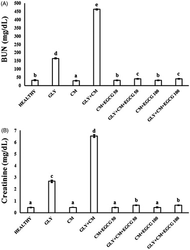 Figure 1. The serum BUN (A) and creatinine (B) levels of all the experimental groups. Means in the same column with the same letter are not significantly different; means in the same column with different letters indicate significant differences between the groups.