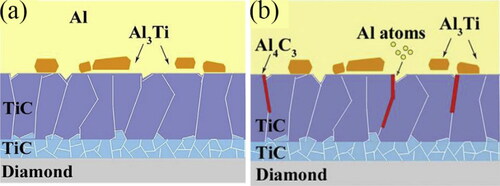 Figure 4. Schematic diagram of the interface structure of diamond (Ti)/Al composite material: (a) during infiltration process (b) after infiltration process [Citation35].