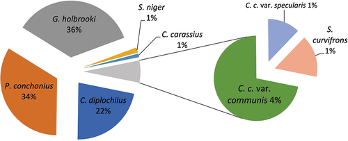 Figure 6. Fish fauna composition of Manasbal Lake.