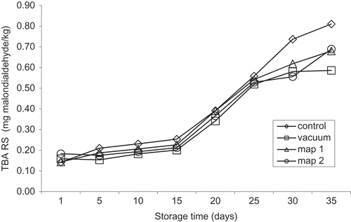 Figure 5. Changes in TBARS values of beef steaks stored under different packaging methods during storage.Standard error of mean (SEM) = 0.0245Figura 5. Cambios en los valores TBARS ocurridos durante el almacenamiento de los bistecs de res almacenados utilizando distintos métodos de empacado.