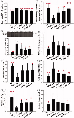 Figure 6. The effect of ethanol extract of L. paracasei subsp. paracasei NTU 101-fermented products on the brain body weight ratio (A), MMP-9 activity (B), and on the activity of antioxidant enzymes, lipid peroxidation, and the release of pro-inflammatory cytokines in the hippocampus of rats with hypertension-induced vascular dementia. (C–E) Enzymatic activity of superoxide dismutase (C), catalase (D), and glutathione peroxidase (E). The levels of malonyldialdehyde (F), IL-1β (G), and IL-6 (H). The meaning of abbreviations was shown in Figure 1. The data are presented as the mean ± SD (n = 6). *p < 0.05, **p < 0.01, ***p < 0.001 versus DOCA-salt according to Duncan’s multiple range test.