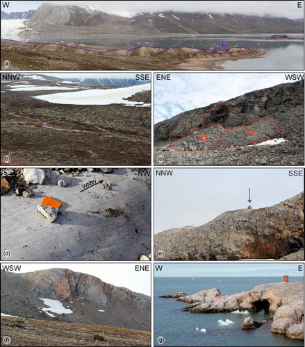 Figure 6. Quaternary deposits and landforms of the Blomstrandøya area. (a) Recessional moraine (R) related to the retreat of Blomstrandbreen in the NE side of the island (CitationBurton et al. 2016); (b) Wide areas affected by periglacial patterned ground and solifluction evidences (on the flat summit area); (c) Rock fall (Rf)and talus cone (Tc) in the western scarp of the island; (d) Roche moutonnée on marble bedrock outlining W- to WNW-flow (SW side of the island); (e) Erratic boulder (arrow) on one of the top ridges of the island at ∼170 m a.s.l.; (f) Steep rock wall on the side of the main ridges of the island (Bratliekollen, northern side of the island); (g) Coastal cliffs and caves affecting the marble rocks (western side of the island).