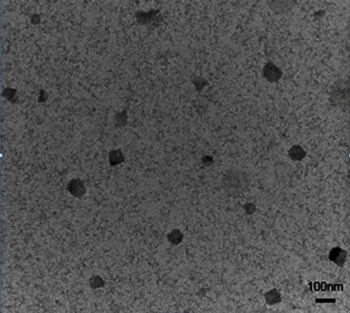 Figure S2 TEM image of RCPD. Scale bar is 100nm