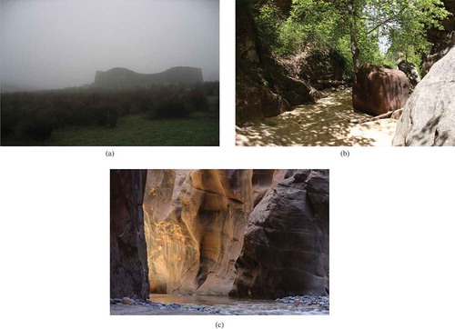 Fig. 4. Daylight images that suggest Richard Kelly’s concepts of (a) ambient luminescence, (b) play of brilliants, and (c) focal glow [Donoff Citation2016]. (a) Diffuse light of a foggy day. (b) Mottled sunlight through trees. (c) Warm glow of sunlight in a canyon. Pictures provided by Kevin W. Houser, copyright 2018, all rights reserved, used with permission.