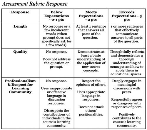 Figure 2. Assessment rubric response.