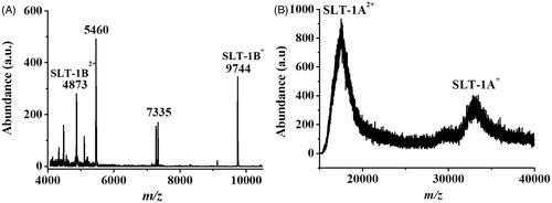 Figure 8. MALDI mass spectra of the cell lysate derived from E. coli O157:H7 obtained (A) in a low mass region and (B) in a high mass region. The molecular weight of SLT-1B is 9743 Da, while that of SLT-1 A is ∼35 kDa.