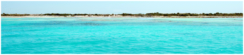 FIG. 6 Panorama of the harbour and the site of Punta Salinas from onboard a ship anchored in the bay