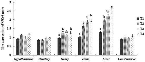 Figure 1. Relative (2-ΔΔCT) of expression levels of GPx4 in tissues of squabs supplemented with dietary SS. Values marked with different letters on the bars are significantly different (P < 0.05).