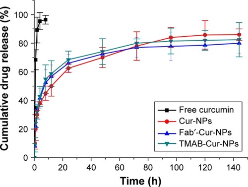 Figure 2 In vitro release studies of curcumin from free curcumin (curcumin solution), Cur-NPs, Fab′-Cur-NPs, and TMAB-Cur-NPs.Abbreviations: Cur, curcumin; Cur-NPs, curcumin nanoparticles; Fab′-Cur-NPs, fragment Fab′-modified curcumin nano particles; TMAB-Cur-NPs, trastuzumab-modified curcumin nanoparticles.