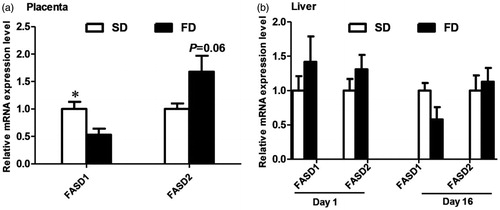 Figure 1. RT-qPCR analysis of FADS1 and FADS2 expression in the (a) placenta and (b) livers (1 d and 16 d) of piglets born to sows fed either the diet with soybean oil (SD) or the diet with fish oil (FD). Values are mean ± SEM (n = 6). *Mean values were significantly different between the two diet groups (p < .05).