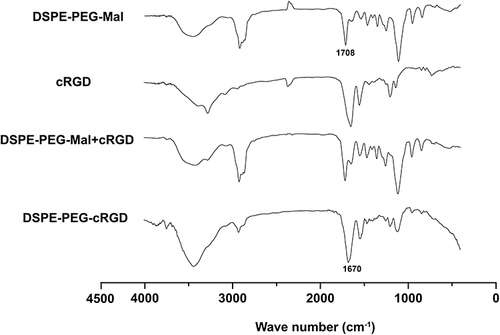 Figure 3 Fourier-transform infrared spectra of various formulations. DSPE-PEG-Mal+cRGD, the physical mixture of DSPE-PEG-Mal and cRGD.