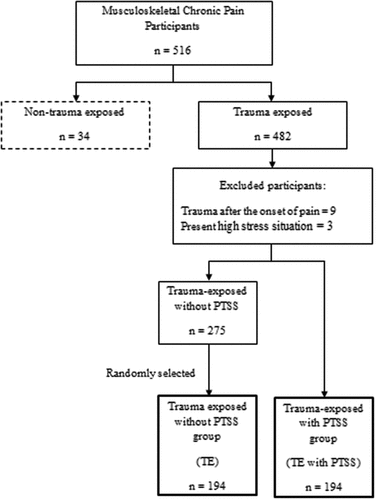 Figure 1. Selection process of the participants groups.