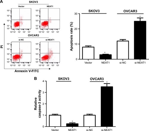 Figure 2 Effects of alteration in NEAT1 expression on OC cell apoptosis.