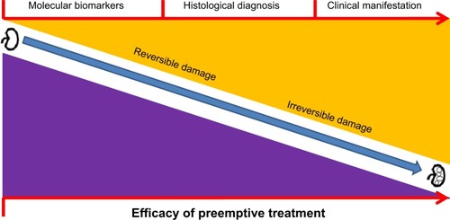Figure 1 Schematic illustration of progress of renal graft damage, diagnostic techniques, and efficacy of preemptive treatment.