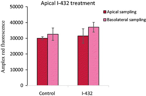 Figure 4. Detection of extracellular H2O2 production when IPEC-J2 cells were treated with 50 μM I-432 for 48 h apically using apical and basolateral sampling. Data are presented as average fluorescence intensities ± SDs. Apical treatment with I-432 did not result in significant alterations in peroxide level independently of the sampling type (p = 0.954 for apical sampling, p = 0.436 for basolateral sampling, n = 3).