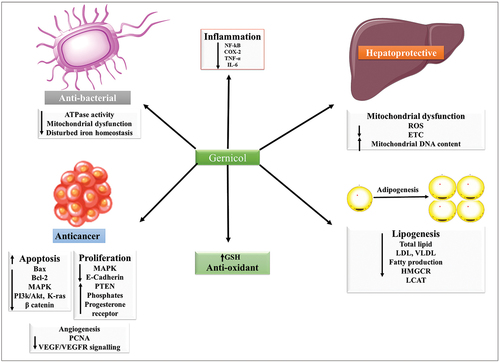 Figure 3. Beneficial effects of geraniol and its mechanisms of action.