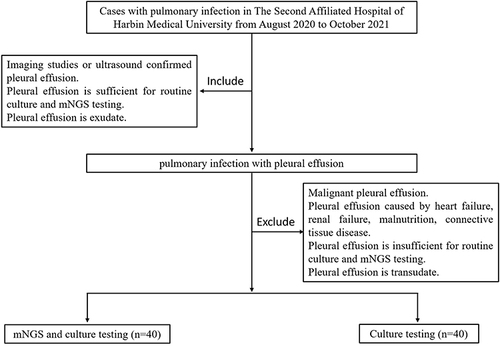 Figure 1 Flow diagram of cases inclusion and exclusion.