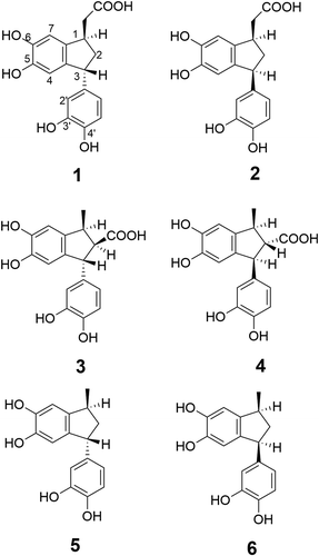 Figure 2. Structures of identified phenylindanes from the thermal reaction of caffeic acid.