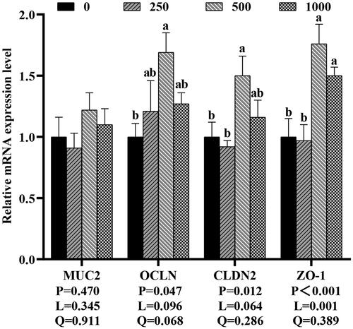 Figure 4. Effects of dietary rutin on the mRNA expressions of intestinal barrier-related genes in jejunal mucosa of 42-day-old broilers. Note: a, bmeans within the same gene of the histogram with different superscript differ significantly (P < 0.05). MUC2, mucin2; OCLN, occludin; CLDN2, claudin-2; ZO-1, zonula occludens-1; 0, basal diet (control group); 250, 500 and 1,000, basal diet further supplemented with 250, 500 and 1,000 mg rutin/kg, respectively. Q and L are the quadratic and linear responses, respectively, to the levels of dietary supplementation with rutin.