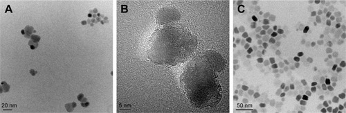 Figure 1 Images of Fe3O4-TiO2 NPs and TiO2 NPs captured by TEM and HRTEM.Notes: (A) TEM of Fe3O4-TiO2 NPs; (B) HRTEM of Fe3O4-TiO2 NPs; (C) TEM of TiO2 NPs.Abbreviations: HRTEM, high-resolution TEM; NPs, nanoparticles; TEM, transmission electron microscopy.