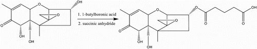 Figure 2. Preparation of 3-HS-DON, (1) 17 mg of l-butaneboronic acid and 5 mg of DON were dissolved in 500 μL of dry pyridine. The mixture was stirred overnight at room temperature. (2) Then, 34 mg of succinic anhydride dissolved in 200 μL of dry pyridine was added to the mixture. After stirring for 3 h at 100°C, the mixture was dried under a nitrogen stream, re-suspended in ethyl acetate and washed three times with water. The organic phase was combined and dried under reduced pressure.