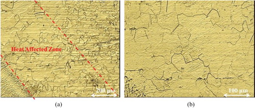 Figure 6. Optical micrograph of HAZ microstructure of AISI 316 stainless steel in two different magnifications: (a) 200 µm and (b) 100 µm.