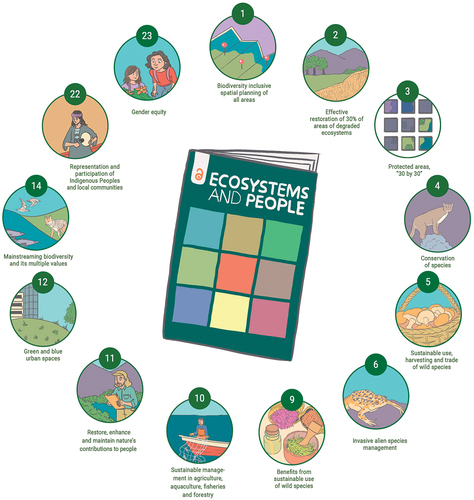 Figure 2. 13 Targets of the Kunming-Montreal Global Biodiversity Framework which are of particular relevance for Ecosystems and People. Figure design: Francisca Carcamo (https://www.panchulei.com).