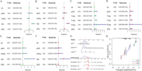 Figure 7 Univariate and multivariate Cox regression analysis, and a nomogram and its calibration plots. Univariate and multivariate Cox regression analyses in NSCLC in (A and B) TCGA, (C and D) GSE30219, and (E and F) GSE31210. (G) Nomogram. (H) Calibration plots of the nomogram. **P < 0.01, ***P < 0.001.