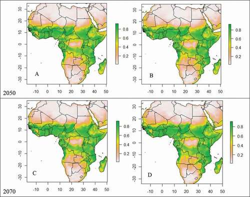 Figure 3. Future continental suitability for Ae. aegypti associated with dengue fever incidences in Africa by 2050 under RCP4.5 (A) and RCP 8.5 (B) and by 2070 under RCP4.5 (C) and RCP 8.5 (D). Grey to green colours illustrate the gradient of suitability from low to high.