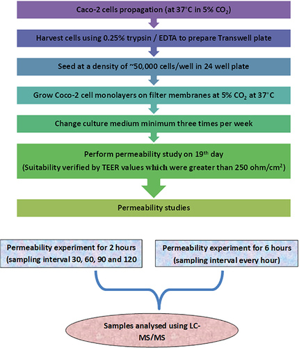 Figure 2 Flowchart representing permeability test experiment.