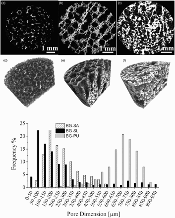 4 Micro-CT reconstructions: 2D section and 3D reconstruction of a, d BG-PU, b, e BG-SL and f, g BG-SA obtained by micro-CT analysis