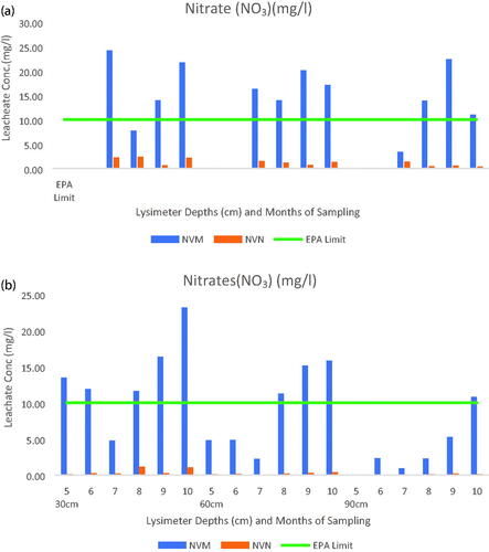 Figure 5. (a) Lysimeter samples for Monthly Nitrate Concentration for Year 1. (b) Lysimeter samples for Monthly Nitrate Concentration for Year 2.