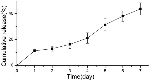 Figure 4. In vitro HNV release curve from HNV-PLGA MSs.