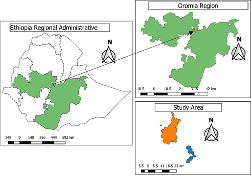 Figure 1 Geographical location of the study areas.