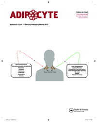 Cover image for Adipocyte, Volume 4, Issue 1, 2015