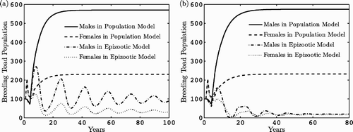 Figure 4. Dynamics over time of breeding female and male populations for the population model Equation(5) and the epizootic model. In (a), density-dependent transmission is assumed and in (b), frequency-dependent transmission. The parameter values are given in Tables 2 and 3.