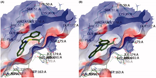 Figure 2. Interaction of 2-styryl-(quinazolin-4-ylthio)acetic acid (3.7) (A) and Silmitasertib (CX-4945) (B) into the binding site of protein kinase CK2.