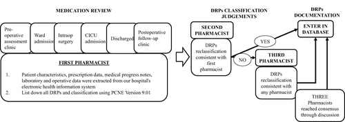 Figure 1 The process of drug-related problems identification.